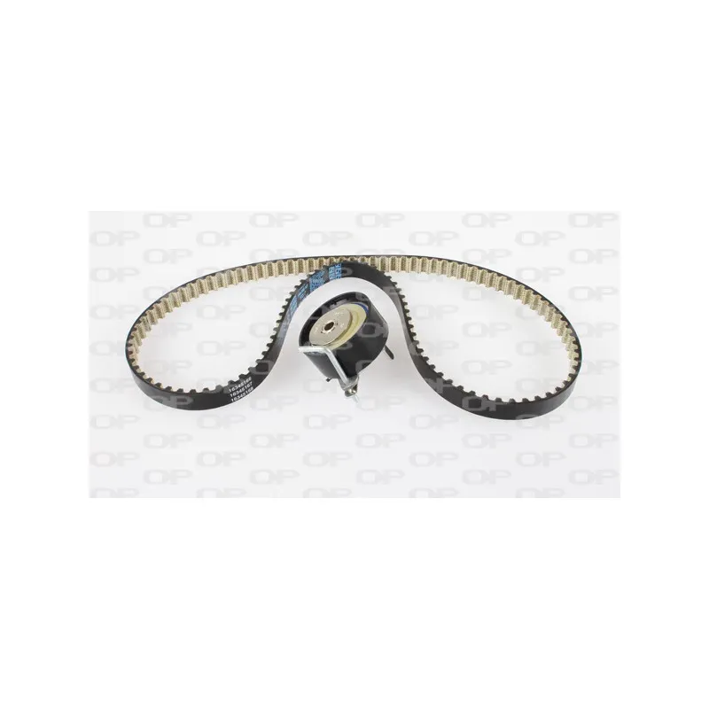 Kit de distribution OPEN PARTS TBK5159.11