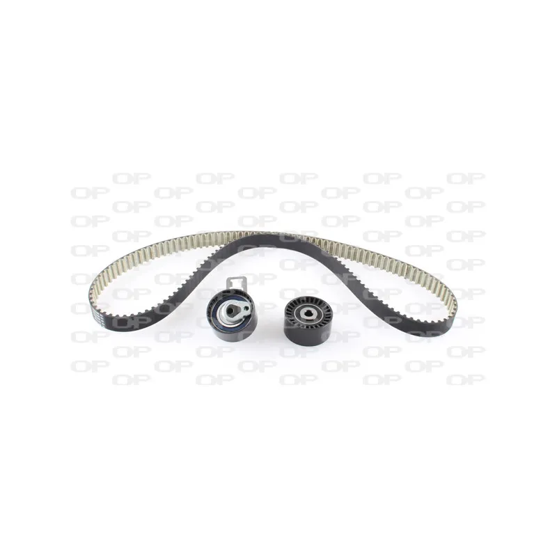 Kit de distribution OPEN PARTS TBK5161.11