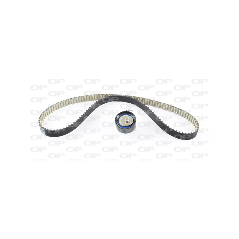 Kit de distribution OPEN PARTS TBK5162.11