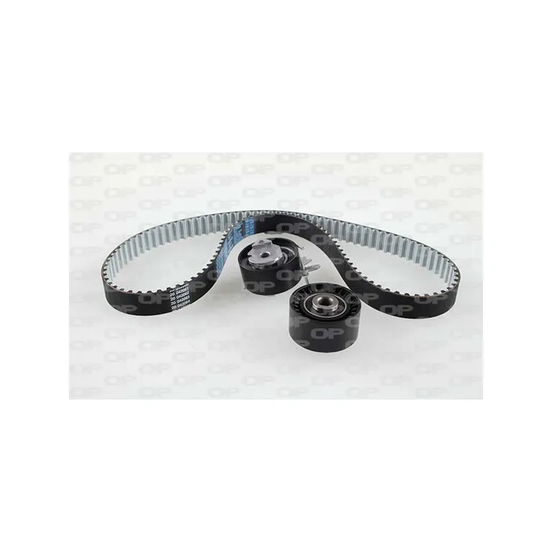 Kit de distribution OPEN PARTS TBK5163.11