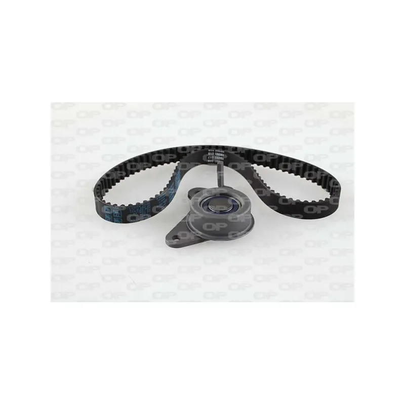 Kit de distribution OPEN PARTS TBK5165.01