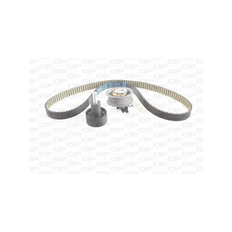 Kit de distribution OPEN PARTS TBK5166.11