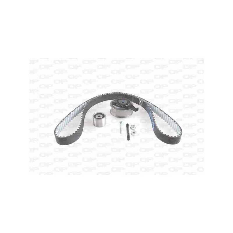Kit de distribution OPEN PARTS TBK5167.11