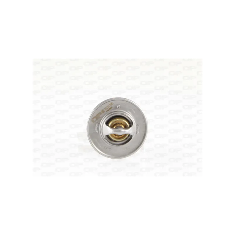 Thermostat, liquide de refroidissement OPEN PARTS TRM1006.00