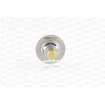Thermostat, liquide de refroidissement OPEN PARTS TRM1009.00