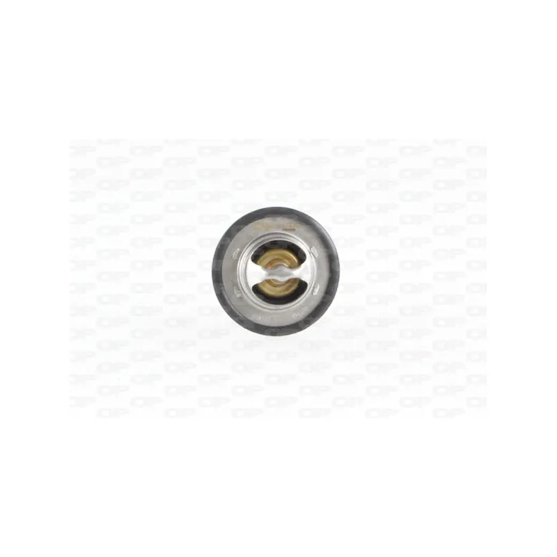 Thermostat, liquide de refroidissement OPEN PARTS TRM1011.00