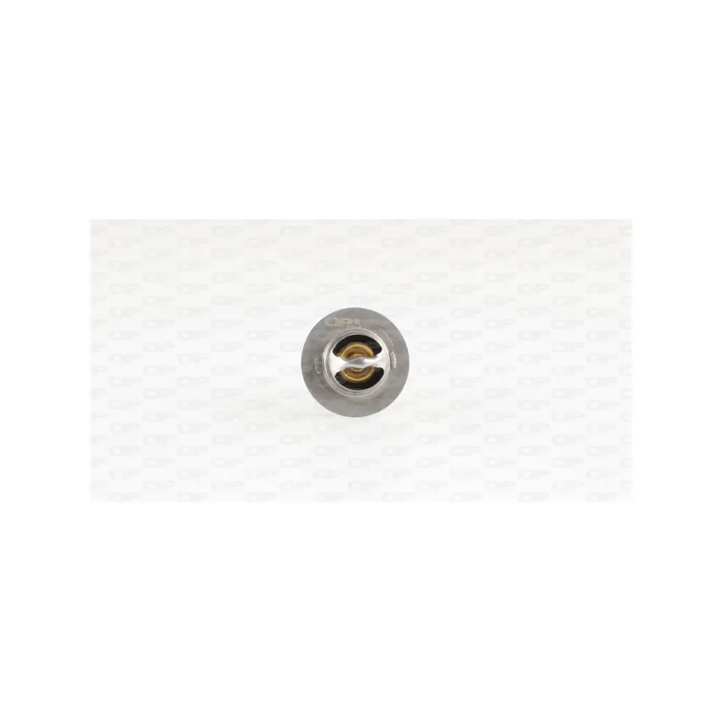 Thermostat, liquide de refroidissement OPEN PARTS TRM1013.00