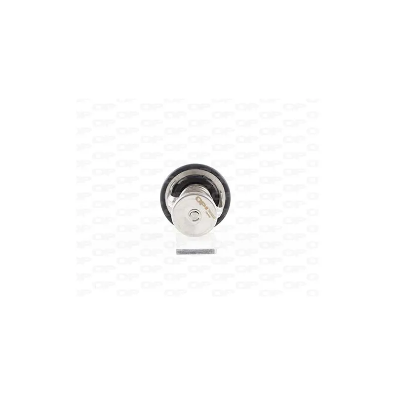 Thermostat, liquide de refroidissement OPEN PARTS TRM1028.00