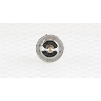 Thermostat, liquide de refroidissement OPEN PARTS TRM1029.00