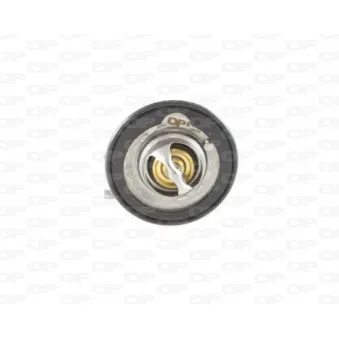 Thermostat, liquide de refroidissement OPEN PARTS TRM1079.00