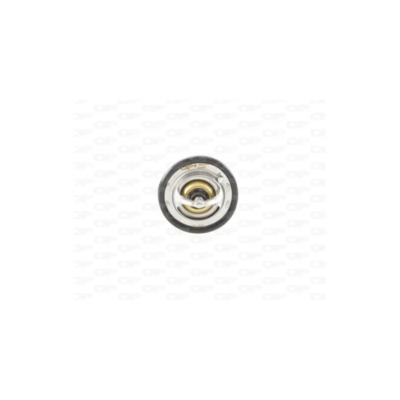 Thermostat, liquide de refroidissement OPEN PARTS TRM1080.00