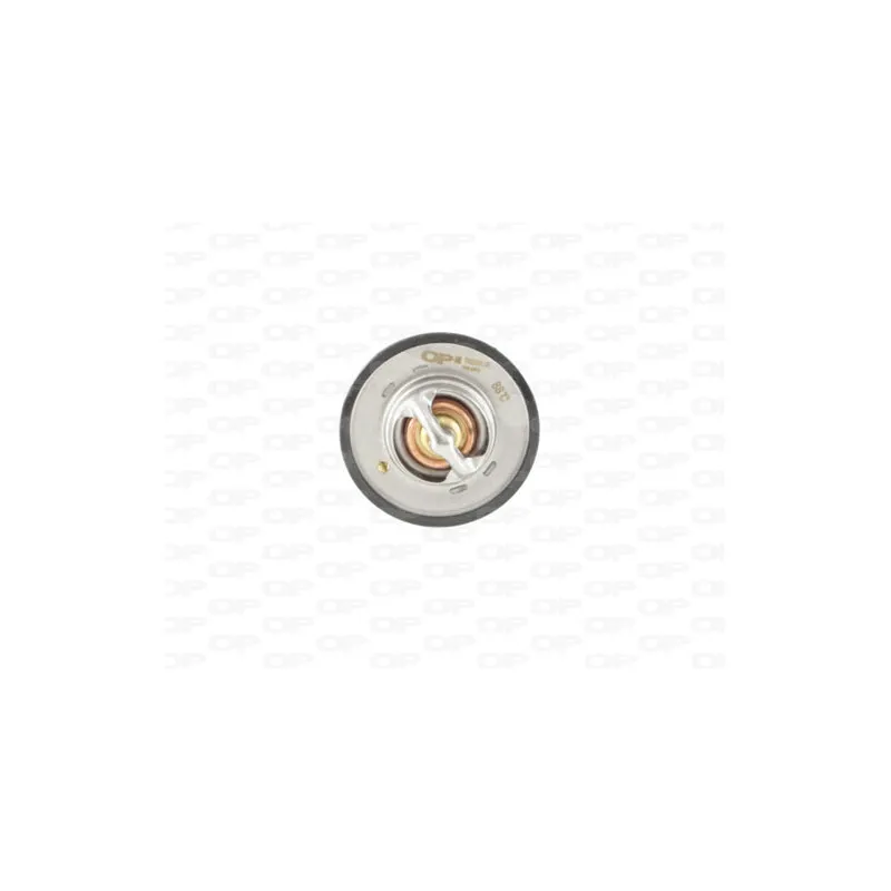 Thermostat, liquide de refroidissement OPEN PARTS TRM1081.00