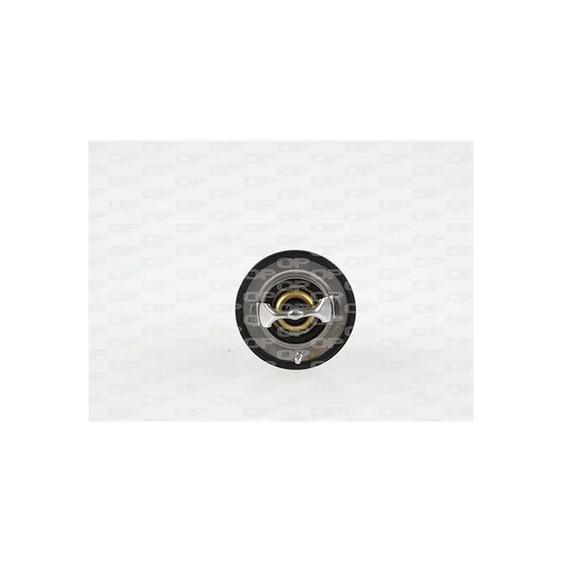 Thermostat, liquide de refroidissement OPEN PARTS TRM1107.00