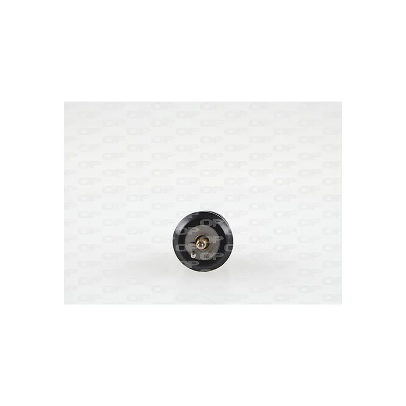 Thermostat, liquide de refroidissement OPEN PARTS TRM1125.00
