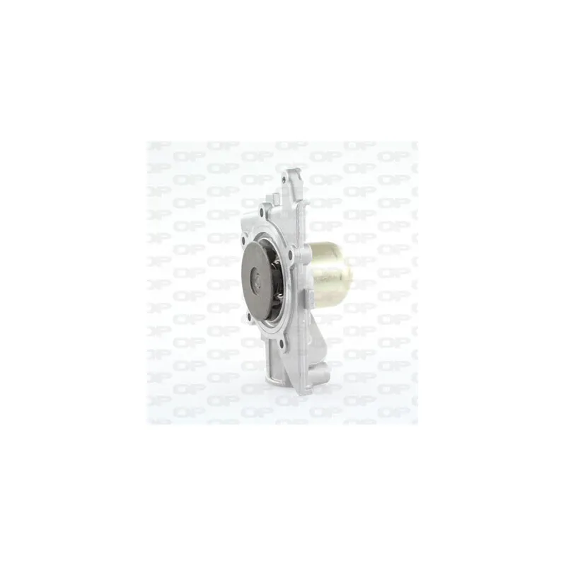 Pompe à eau OPEN PARTS WAP8053.00