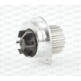 Pompe à eau OPEN PARTS WAP8138.00