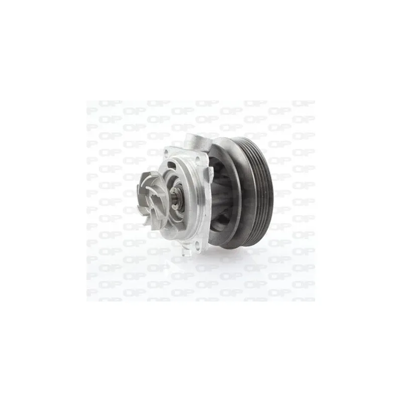 Pompe à eau OPEN PARTS WAP8176.00