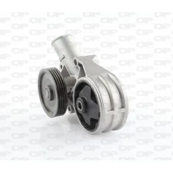 Pompe à eau OPEN PARTS WAP8216.00