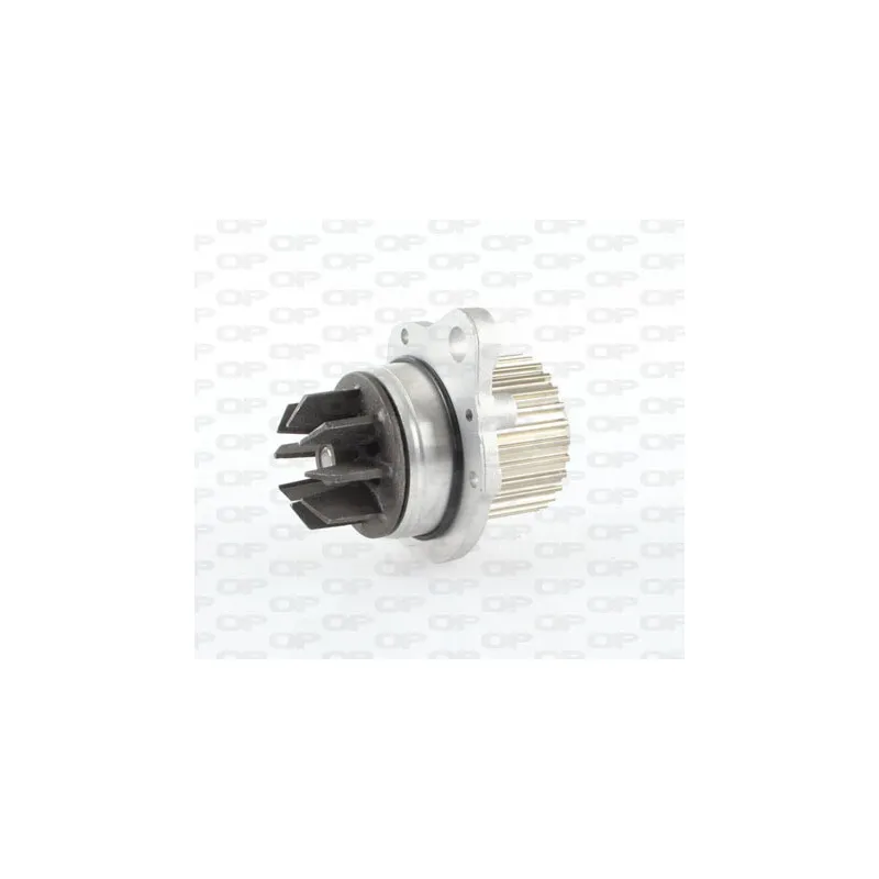 Pompe à eau OPEN PARTS WAP8244.00