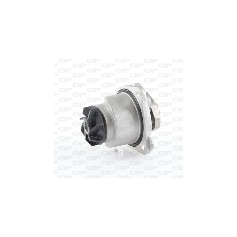 Pompe à eau OPEN PARTS WAP8247.00