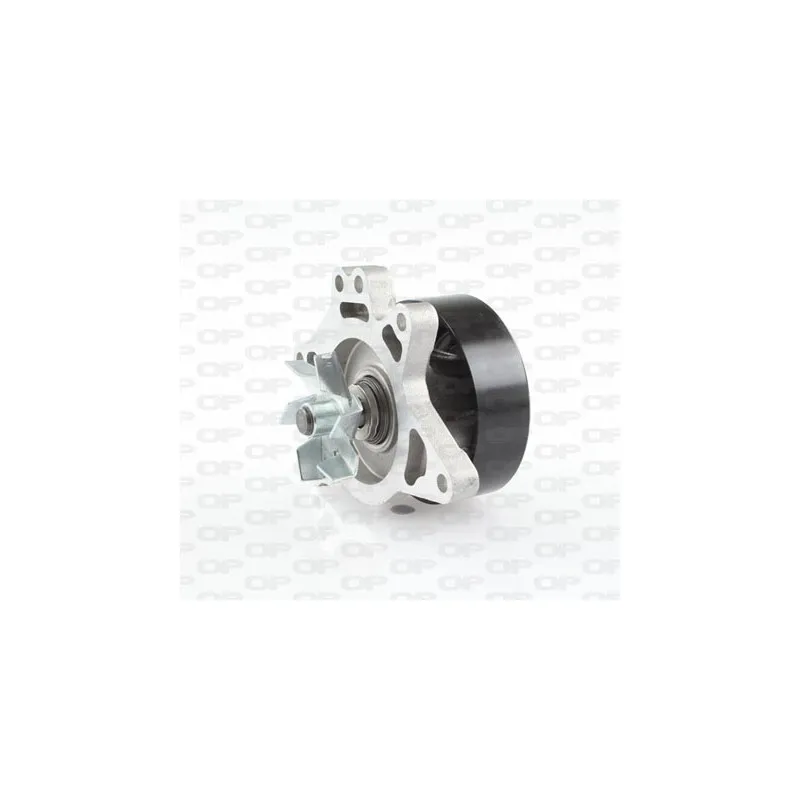 Pompe à eau OPEN PARTS WAP8420.00