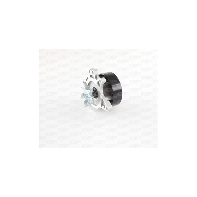 Pompe à eau OPEN PARTS WAP8455.00