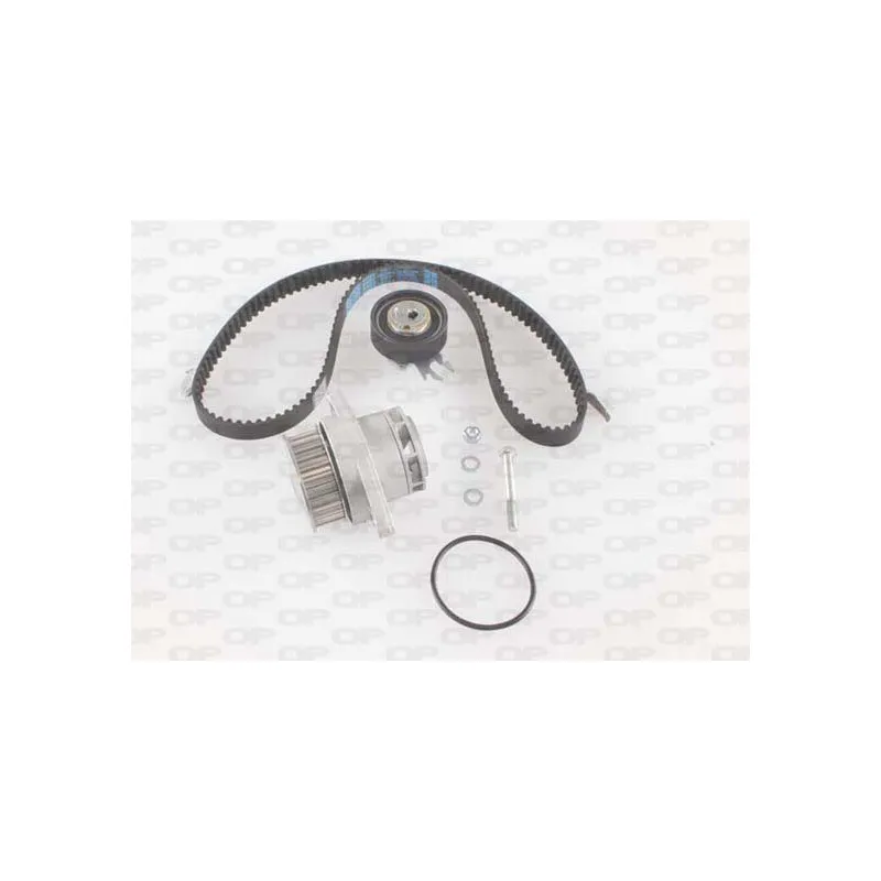 Pompe à eau + kit de courroie de distribution OPEN PARTS WTBK5019.00