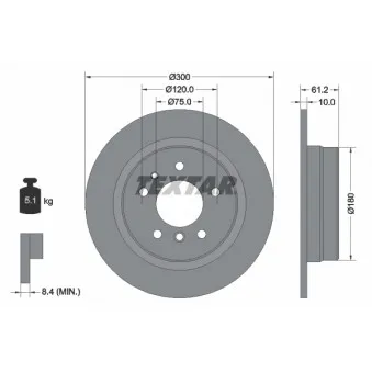 Jeu de 2 disques de frein arrière TEXTAR 92042303
