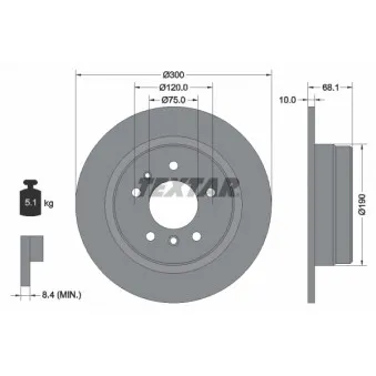 Jeu de 2 disques de frein arrière TEXTAR 92042600