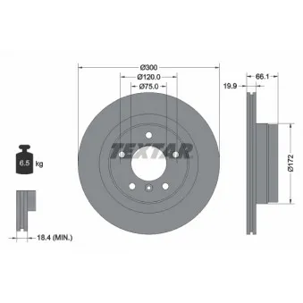 Jeu de 2 disques de frein arrière TEXTAR 92133003