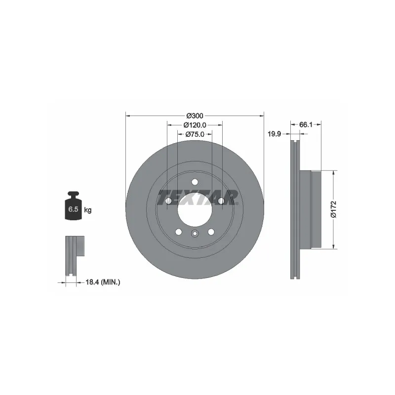 Jeu de 2 disques de frein arrière TEXTAR 92133003