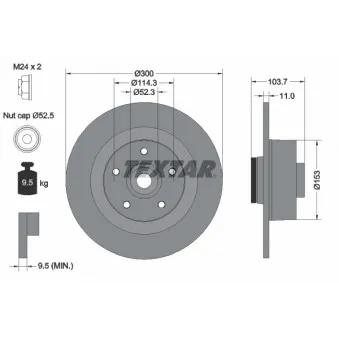 Jeu de 2 disques de frein arrière TEXTAR 92196103