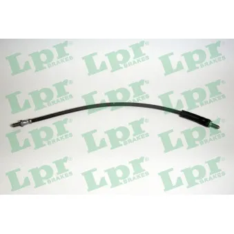 Flexible de frein LPR 6T46113