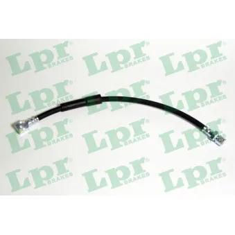 Flexible de frein LPR 6T46120