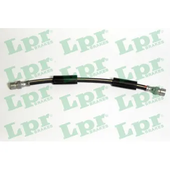Flexible de frein LPR 6T46156