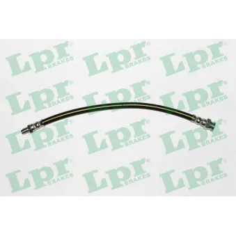 Flexible de frein LPR 6T46229
