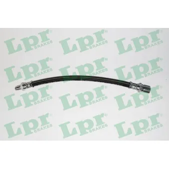Flexible de frein LPR 6T46313