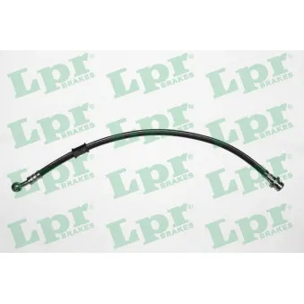Flexible de frein LPR 6T46319
