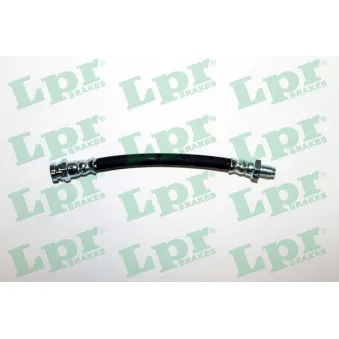Flexible de frein LPR 6T46431