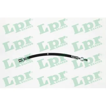 Flexible de frein LPR 6T46515