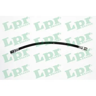 Flexible de frein LPR 6T46648