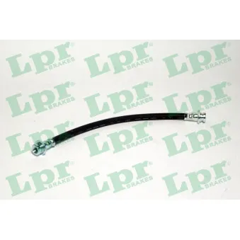 Flexible de frein LPR 6T48013