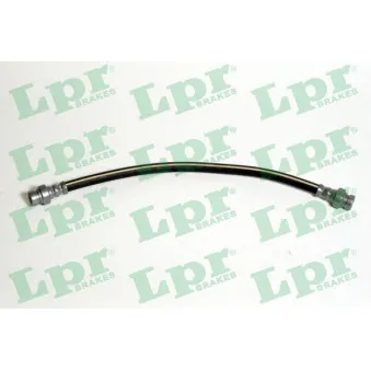 Flexible de frein LPR 6T48046