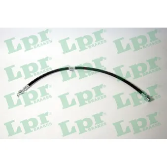 Flexible de frein LPR 6T48062