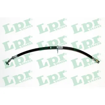 Flexible de frein LPR 6T48066