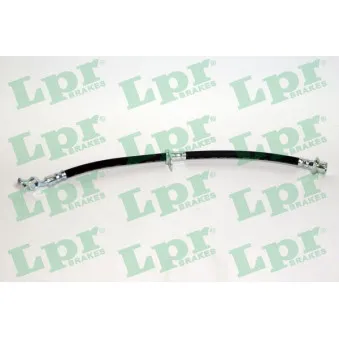 Flexible de frein LPR 6T48255