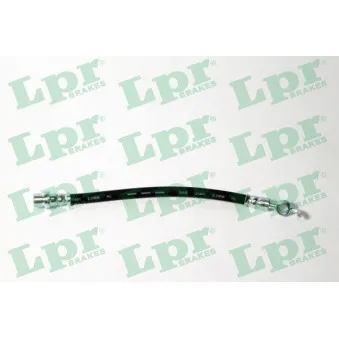 Flexible de frein LPR 6T48313