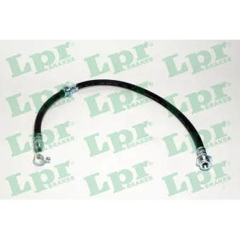 Flexible de frein LPR