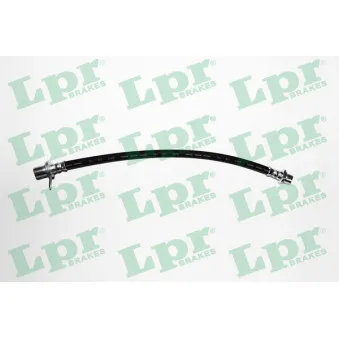 Flexible de frein LPR 6T48731