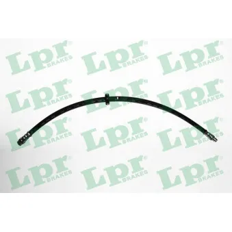 Flexible de frein LPR 6T48743